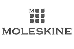 logo moleskine gris